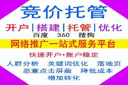 SEM托管公司成功案例：助力企业腾飞